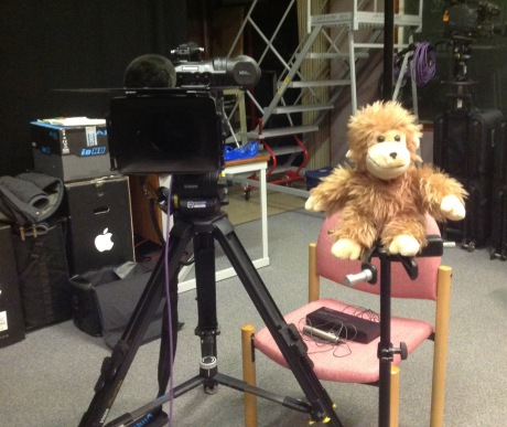 Monkey is an experienced interviewer who has worked previously for Channel 4